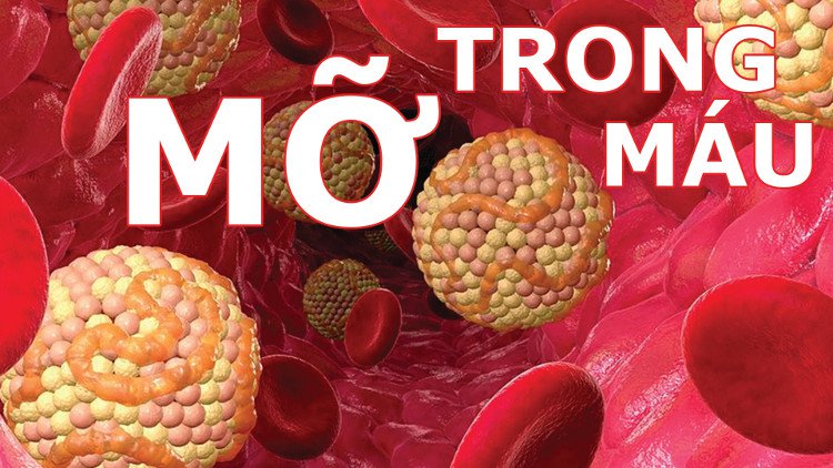 Cách tự nhiên làm giảm cholesterol cho hiệu quả