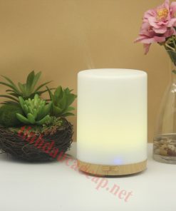 Máy Khuếch Tán Tinh Dầu Chery W21