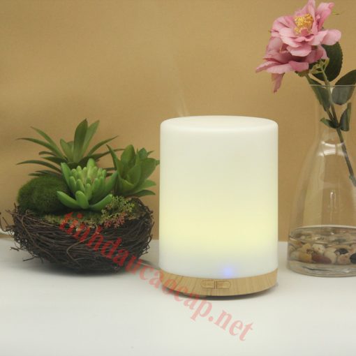 Máy Khuếch Tán Tinh Dầu Chery W21