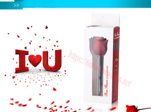 Bông Hồng Tỏa Hương