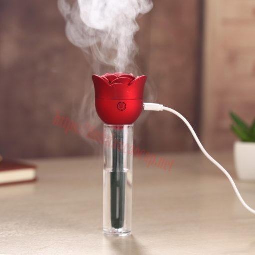Bông Hồng Tỏa Hương