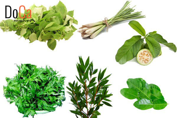 Xông hơi với tinh dầu sả và những thông tin cần biết