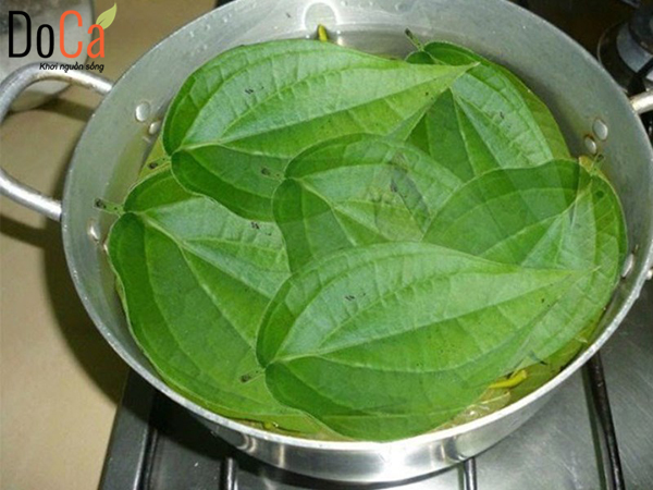 Sử dụng lều xông hơi cá nhân với lá lốt