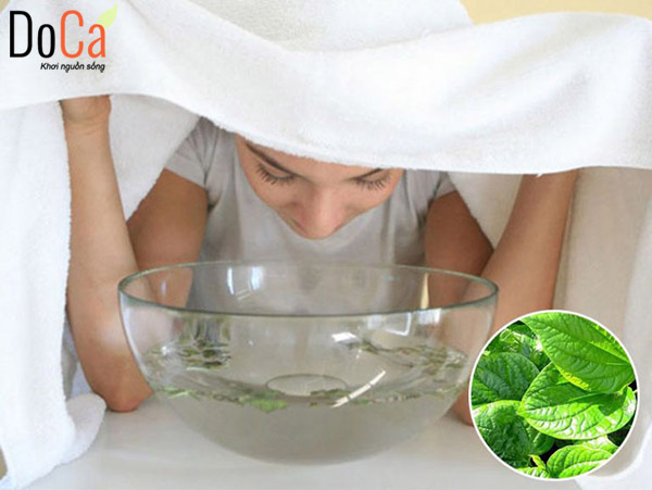 Lý do nên xông hơi với lá lốt