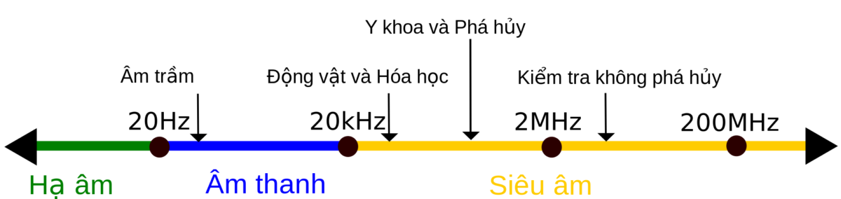Tần Số Sóng Siêu Âm